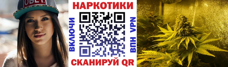 Наркошоп купить Канабис  Меф  ГАШ  Дмитровск