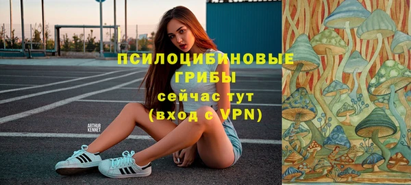 ECSTASY Заволжск