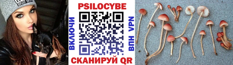 Галлюциногенные грибы прущие грибы  Купить  Дмитровск 